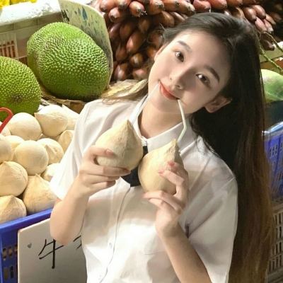 宠物探险家bt版下载